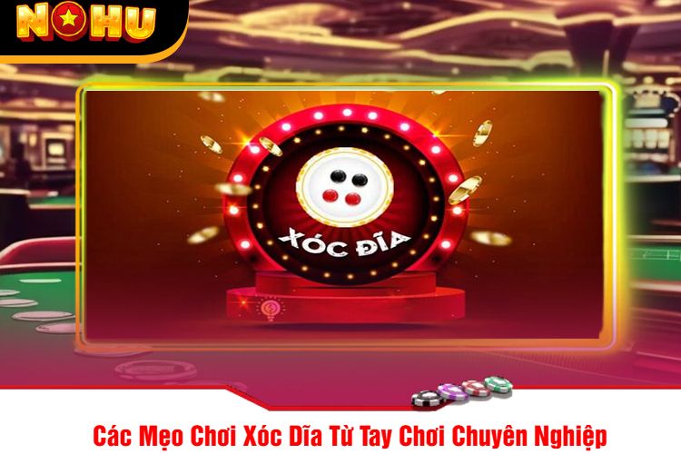 Các Mẹo Chơi Xóc Dĩa Từ Tay Chơi Chuyên Nghiệp