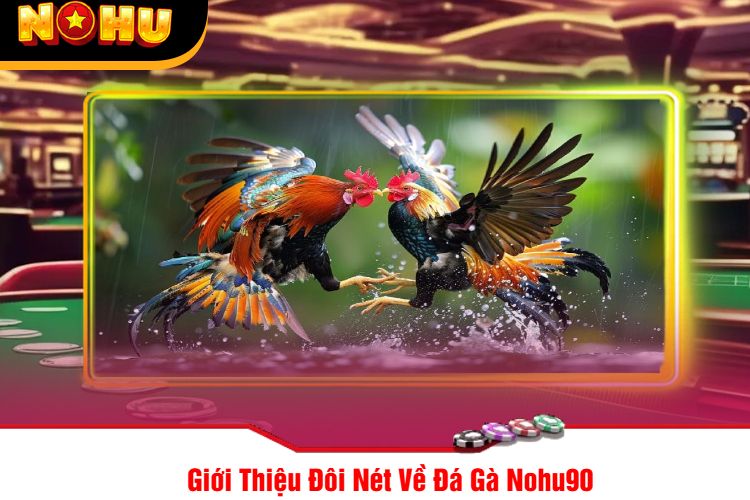 Giới Thiệu Đôi Nét Về Đá Gà Nohu90