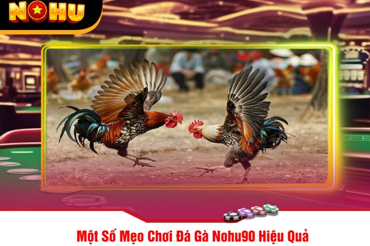 Một Số Mẹo Chơi Đá Gà Nohu90 Hiệu Quả